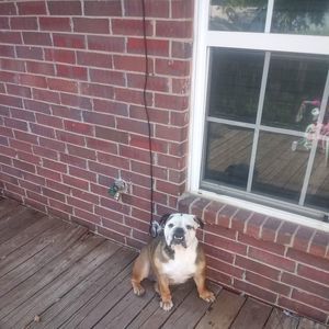 Meet your Posher, Kc